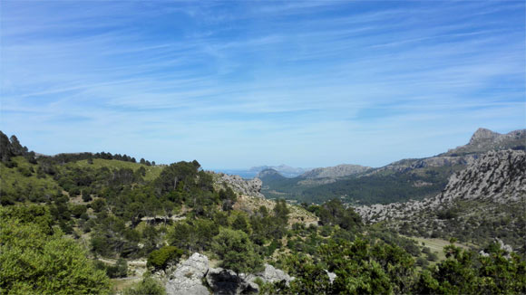 The view from the highest point we climbed to from Pollenca