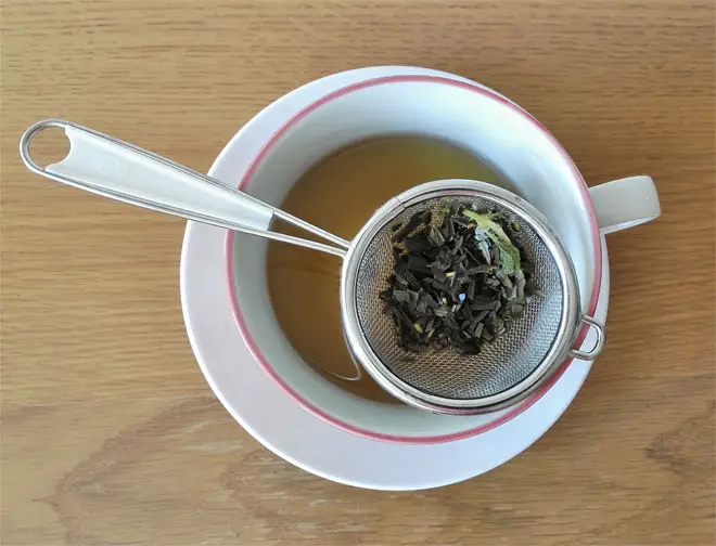 olive leaf tea infusion
