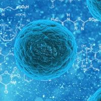 Introduction to stem cells storage (for mums-to-be)