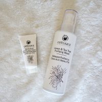 Odylique Lemon & Tea Tree Purifying face wash and Spot-on serum