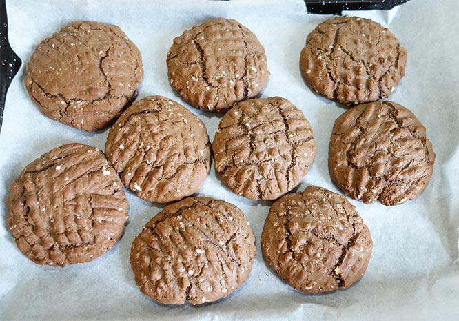 protein cookies