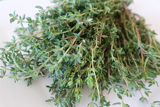 thyme herbal remedy for hay fever