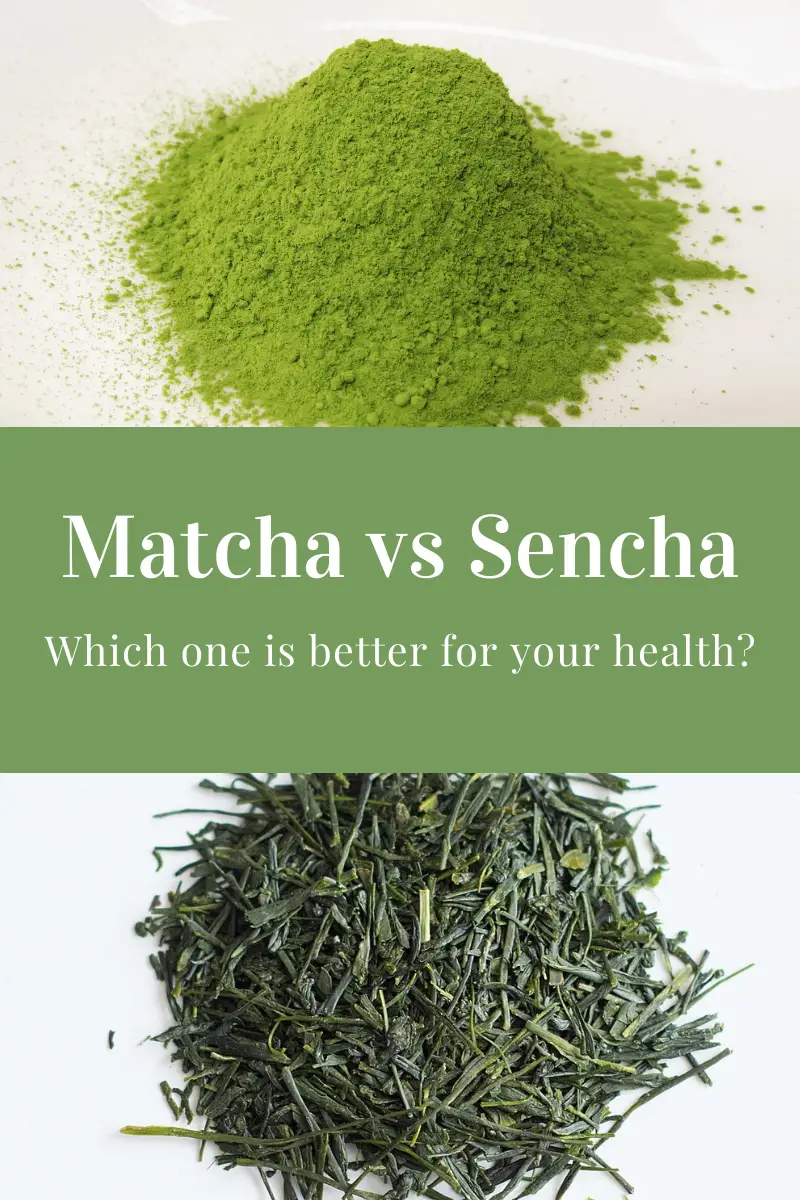 Matcha vs Sencha