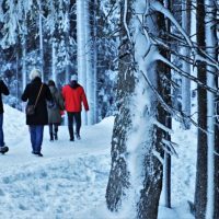 9 Ways to Boost Your Wellbeing This Winter