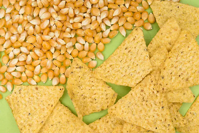 Are corn tortilla chips healthy?