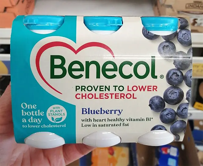 Benecol Yogurt Drink - Blueberry flavour