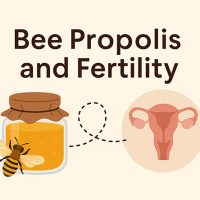 Bee Propolis and Fertility: Can It Really Help You Conceive?