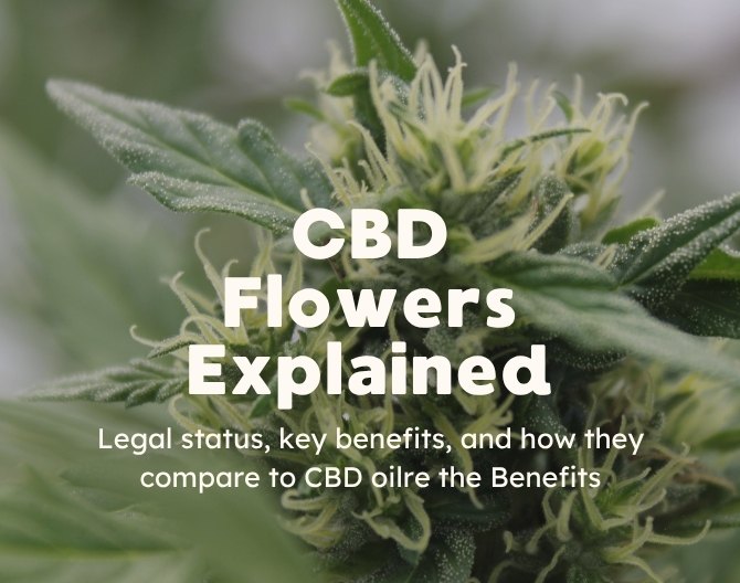 CBD Flowers: Where They’re Legal, What They Do, and How They Compare to CBD Oil