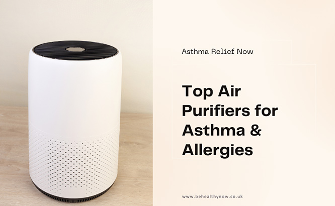 Top air purifiers for asthma and allergies